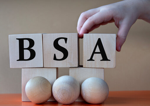A child's hand places a large cube next to other cubes. BSA acronym concept