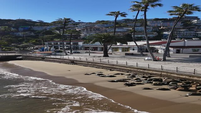 Catalina Island on Sunny Day