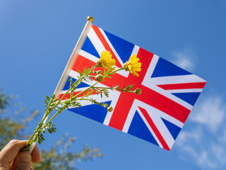 Union Jack and yellow flowers in hand in front of blue sky in sunlight