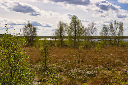 Bourtanger Moor