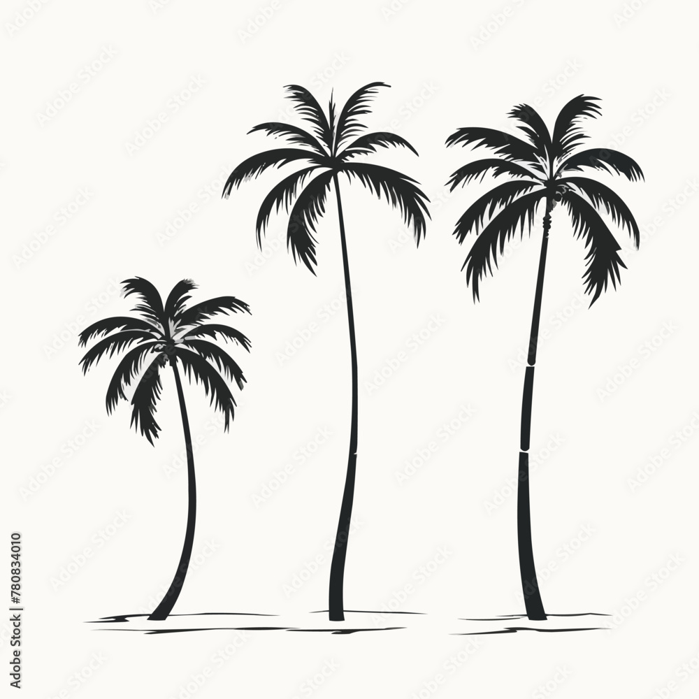 Poster palm tree | minimalist and simple set of 3 line white background - vector illustration