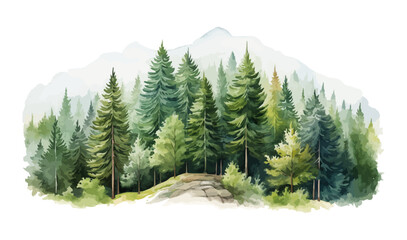 Watercolor Forest tree illustration. Mountain landscape. Woodland pine trees. Green Forest. - obrazy, fototapety, plakaty