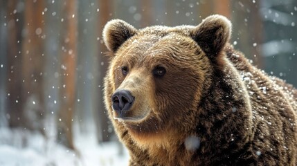 Brown bear in the winter forest. AI generative. - obrazy, fototapety, plakaty