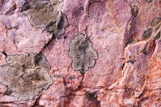 Intricate nickel formations on quartz and silica rocks