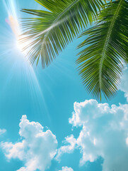Fototapeta na wymiar Tropical Palm Leaves against a Bright Blue Sky with Sun Flare