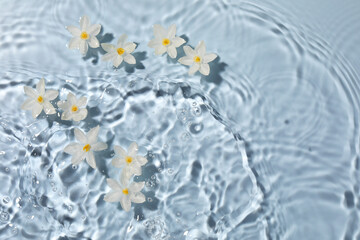 Beautiful daffodils in water on light blue background, top view. Space for text