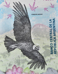 un condor andino en un billete de banco - 780852889