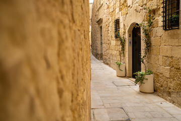 Fototapeta na wymiar Silent City, Mdina, Malta, sunny day
