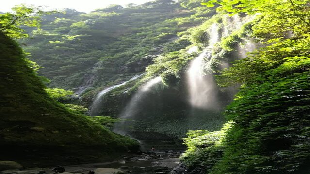Aerial vertical footage Madakaripura waterfall during a morning in East Java, Indonesia