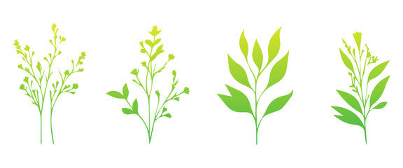 Floral branch and minimalist leaves for logo. Hand drawn line wedding herb, elegant wildflowers. Minimal line art drawing for print, cover or wallpaper