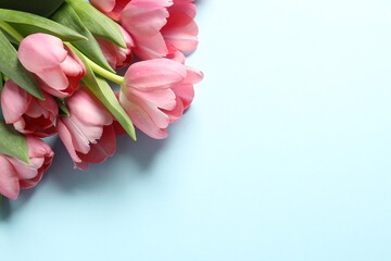 Happy Mother's Day. Beautiful pink tulips on white background, space for text