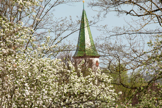Roof of a historic south german church at spring. Apple blossoms  framing the tower.