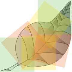 Leaf OutlineBWGradientColor