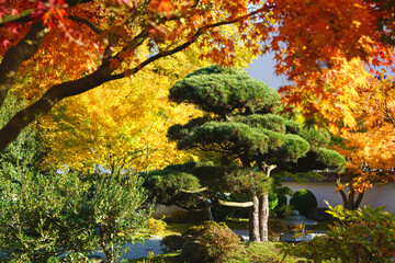 Japanischer Garten in Bielefeld im Herbst