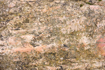 Deformed Pegmatite, red, brown and orange, some grey lichens on it