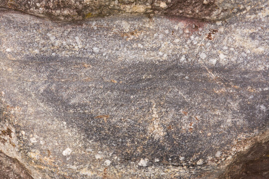 Background of grey and purple-white Migmatite