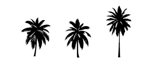 Black palm trees set isolated on white background. Palm silhouettes. Design of palm trees for posters, banners and promotional items. Vector illustration