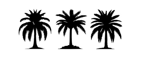 Fototapeta na wymiar Black palm trees set isolated on white background. Palm silhouettes. Design of palm trees for posters, banners and promotional items. Vector illustration