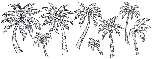 Fototapeta na wymiar Tropical palm trees set for sunny beach design of surf culture. Exotic plants collection or palm leaves for island paradise. Monochrome outline style or black and white lines