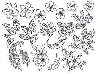 Summer flower set for Hawaii beach. Exotic plant collection, tropical palm leaves and nature tropic blooms for floral design. Monochrome outline style or black and white lines
