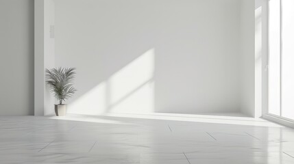 A white room with a potted plant in front of a window. Suitable for interior design concepts