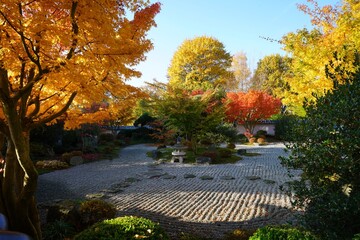 Japanischer Garten in Bielefeld im Herbst - obrazy, fototapety, plakaty