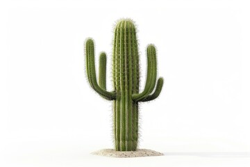 A green cactus plant on a white surface, suitable for various uses