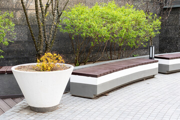 Bench and large pot with bush. Landscaping of the urban environment, courtyard area