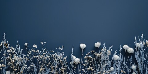 Beautiful white flowers contrasted against a deep blue backdrop. Perfect for floral designs - obrazy, fototapety, plakaty
