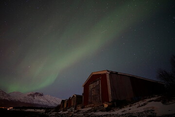 aurora boreal en skibotn, noruega - obrazy, fototapety, plakaty