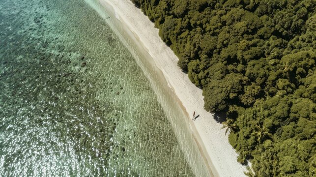 Aerial view of a tropical beach with a couple alking along the shoreline, horizontal orientation, generated with AI