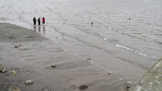 Strolling on White Rock Beach, BC, Canada - April 7, 2024