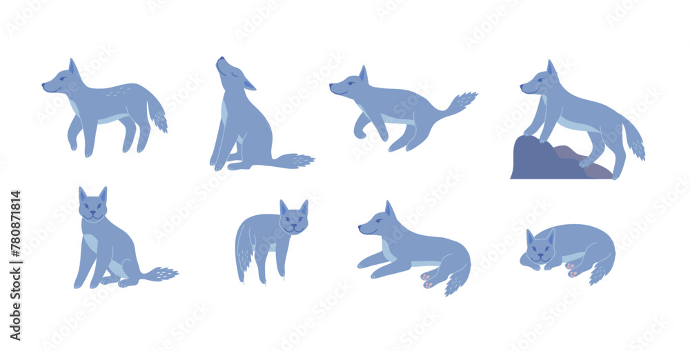 Poster cartoon color characters wolves set different poses concept flat design style. vector illustration o