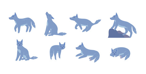 Cartoon Color Characters Wolves Set Different Poses Concept Flat Design Style. Vector illustration of Canis Lupus