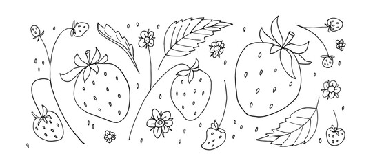 Strawberry set. Hand drawn sketch doodle illustration with berries, leaves and plant flowers. Vector natural design for sticker, logo, diet concept, market. Black and white background of strawberry.
