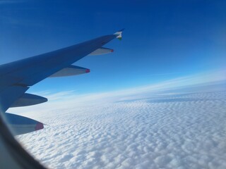 Obraz premium wing of airplane