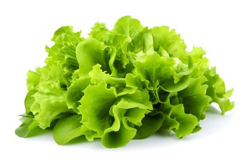 Green fresh lettuce leaves isolated on a white background