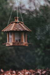 wooden bird house