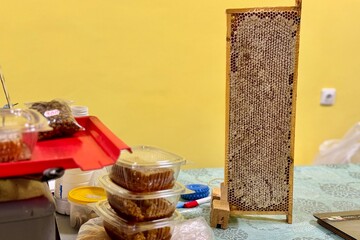 Honeycomb with honey, wax structures in wooden frame on market counter at food market. Close-up