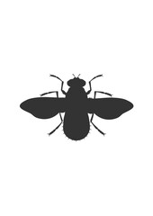 Vector hand drawn butterfly illustration design. insect vector design .