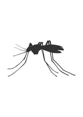 Vector hand drawn butterfly illustration design. insect vector design .