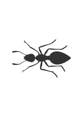 Vector hand drawn butterfly illustration design. insect vector design .