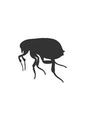 Vector hand drawn butterfly illustration design. insect vector design .