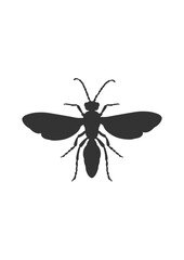 Vector hand drawn butterfly illustration design. insect vector design .