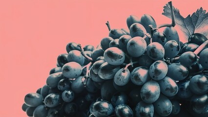 Grapes concept illustration fruit product juicy freh purple background color