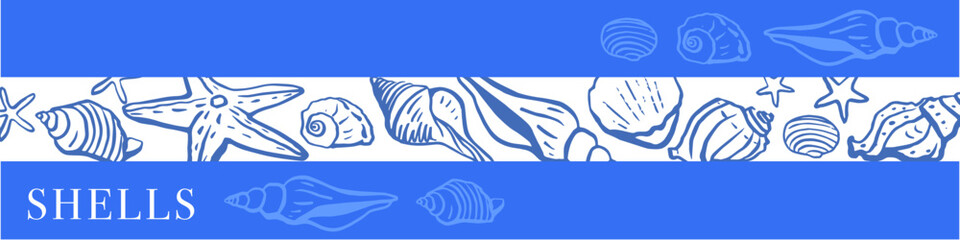 Seashells vector set. Hand drawn illustrations.Marine background. Blue.