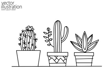  Set of cactus succulent plants. Home plants one line ink sketch flowers in a pot decorative houseplant. Contour outline vector illustration