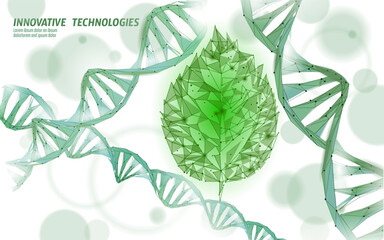 Plant leaf biotechnology abstract concept. 3D render seedling tree leaves DNA genome engineering vitamin supplement. Medical science life eco polygon triangles low poly vector illustration
