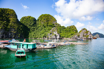 beautiful limestone rocks and secluded beaches in Ha Long bay, UNESCO world heritage site, Vietnam - 780890437
