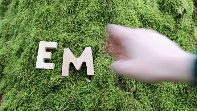 Person putting wooden letters EMDR on mossy tree trunk. Eye Movement Desensitization and Reprocessing psychotherapy treatment concept.